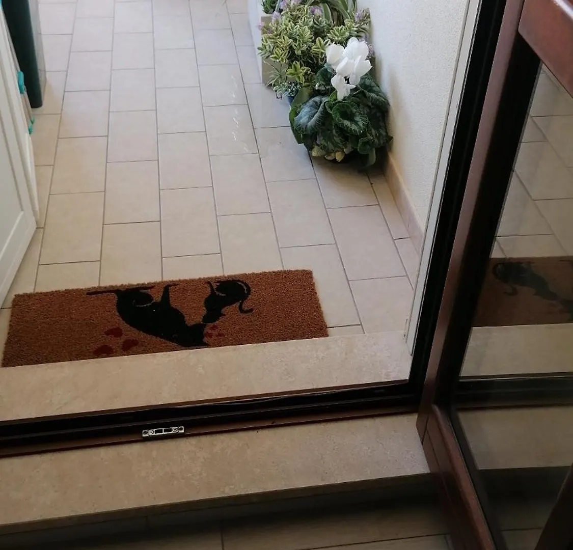 Little House Apartment Porto Torres 0*,  Italy